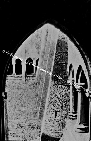 QUINN ABBEY  CLOISTERS  COFFIN ARCH